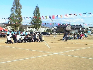 仁愛附属幼稚園での綱引きの様子写真