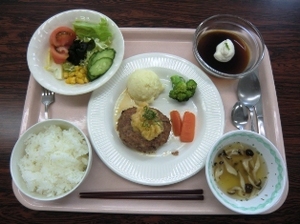 食物栄養専攻の学生がつくった和風ハンバーグ