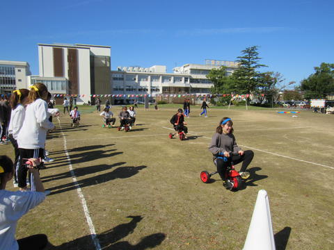 IMG_6961.jpg