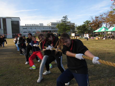 IMG_7212.jpg