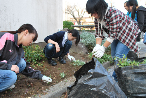 131116ガーデニング除草.JPG