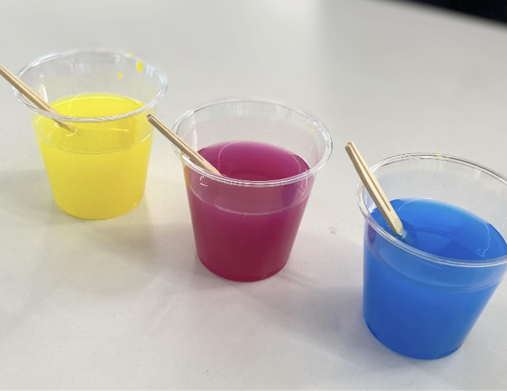 好きな授業は？