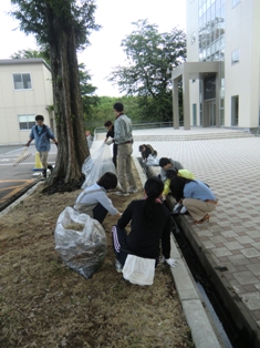 学内清掃活動写真その3