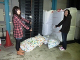 仁愛女子短期大学で集められたエコキャップ（ペットボトルのフタ）