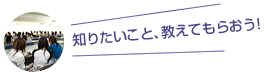 知りたいこと、教えてもらおう!