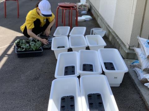 梅雨入り前の大仕事