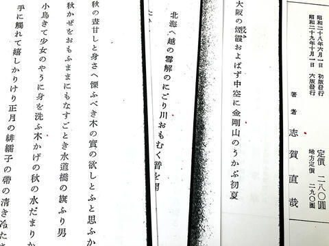 木川_4720.jpg