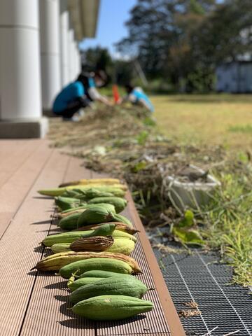 私たちのSDGs・・・生活デザイン専攻の場合