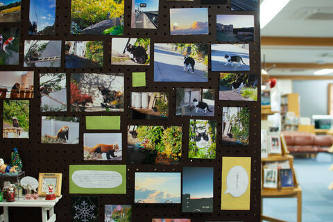 図書館に写真展! 写真サークルの作品が展示中。さらに、、メタバースにも!?